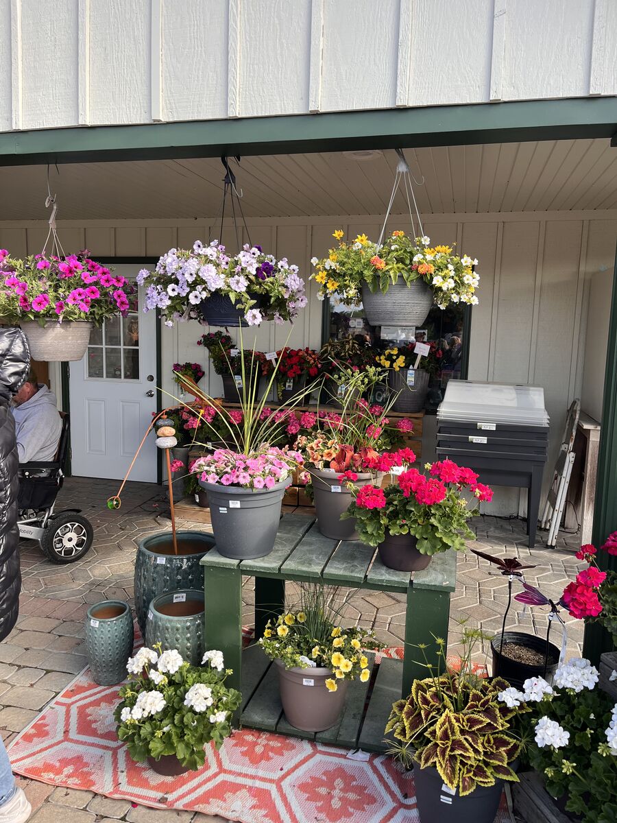 Wasson Nursery 