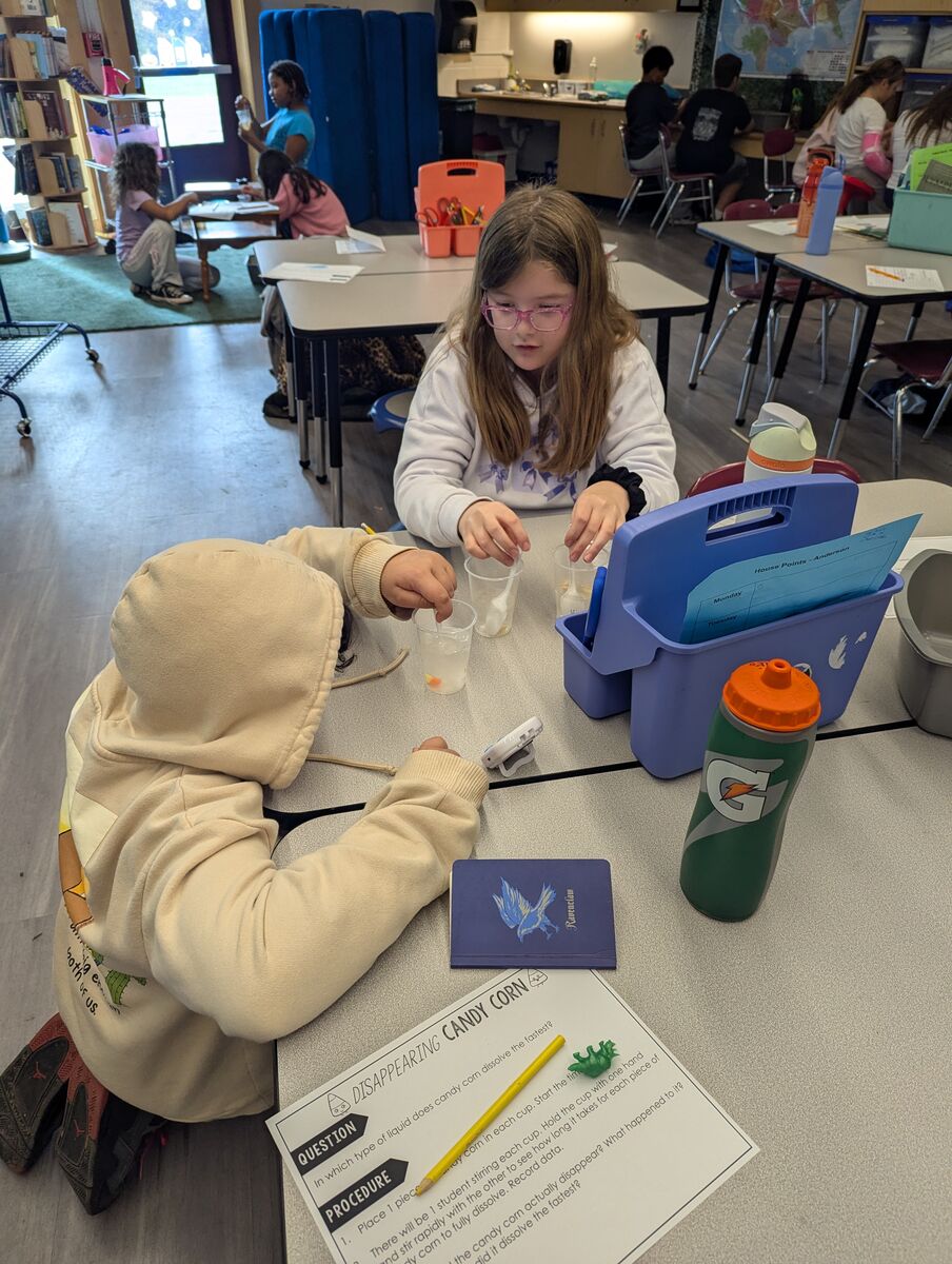 News from Lawrence School