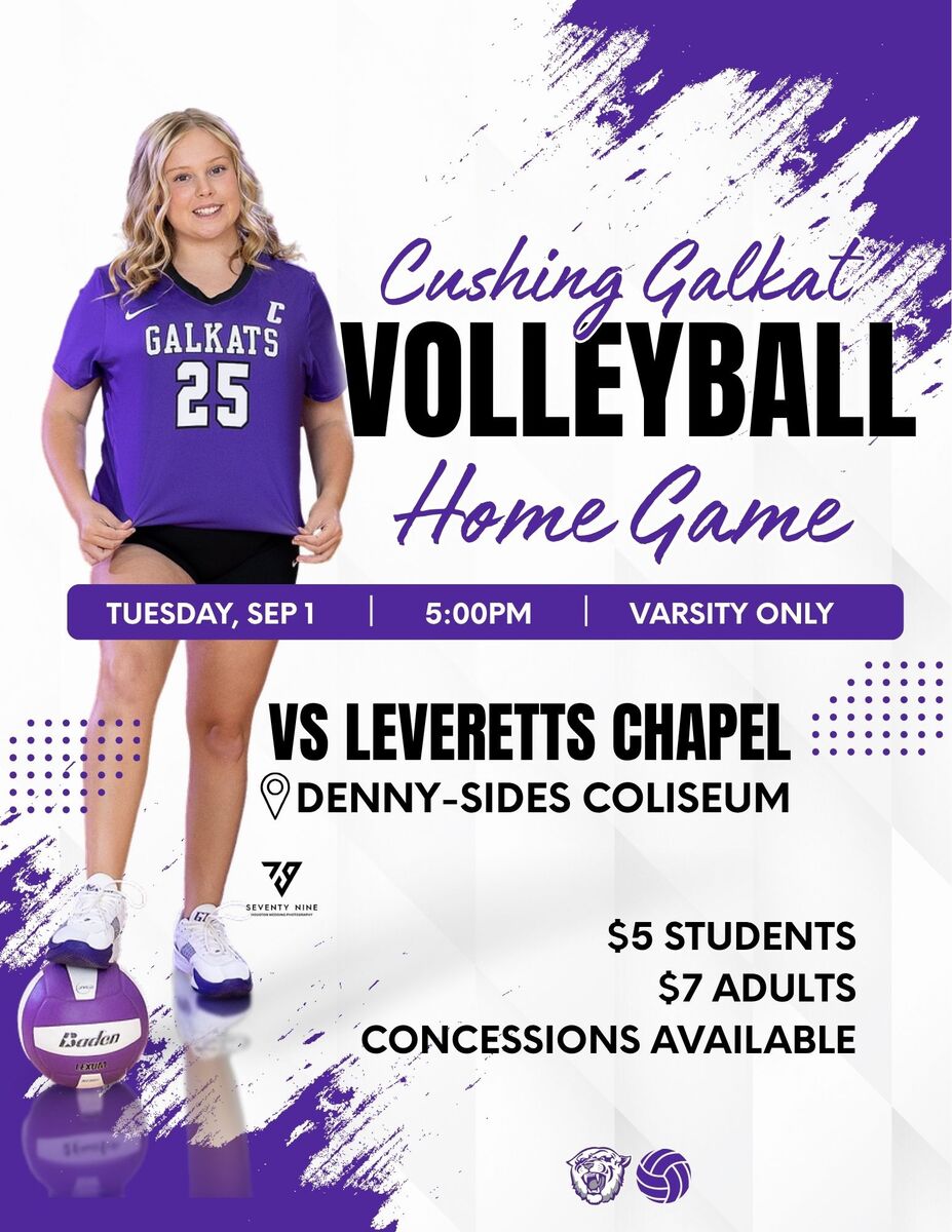 HS Varsity Volleyball Game Today  @ HOME vs LC