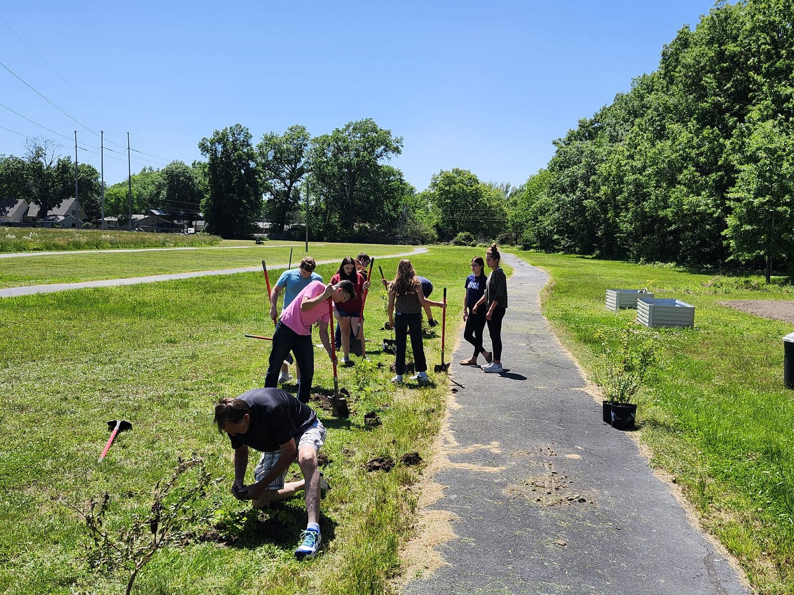 Students were buzzing around planting at the walking track today!  