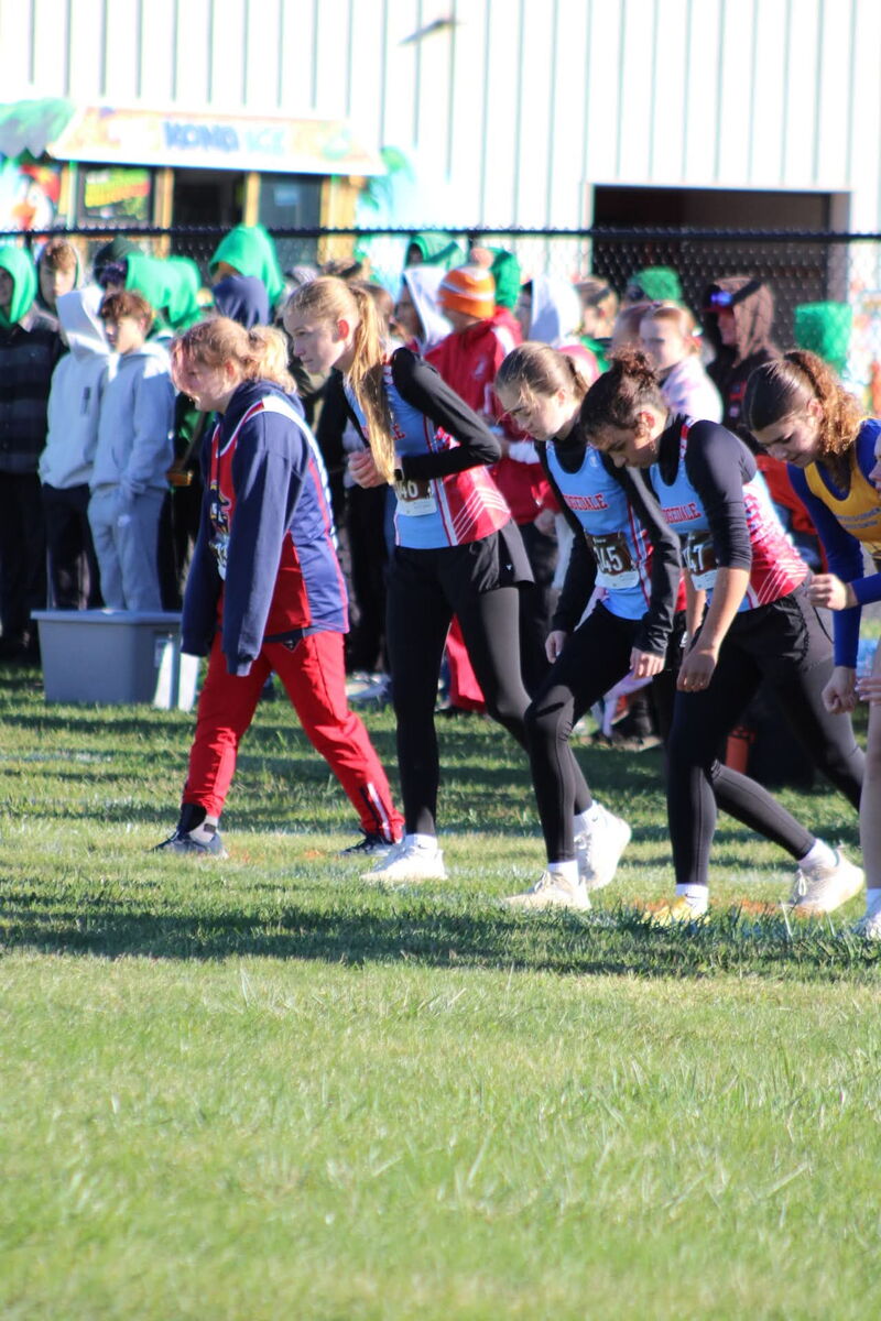 XC 