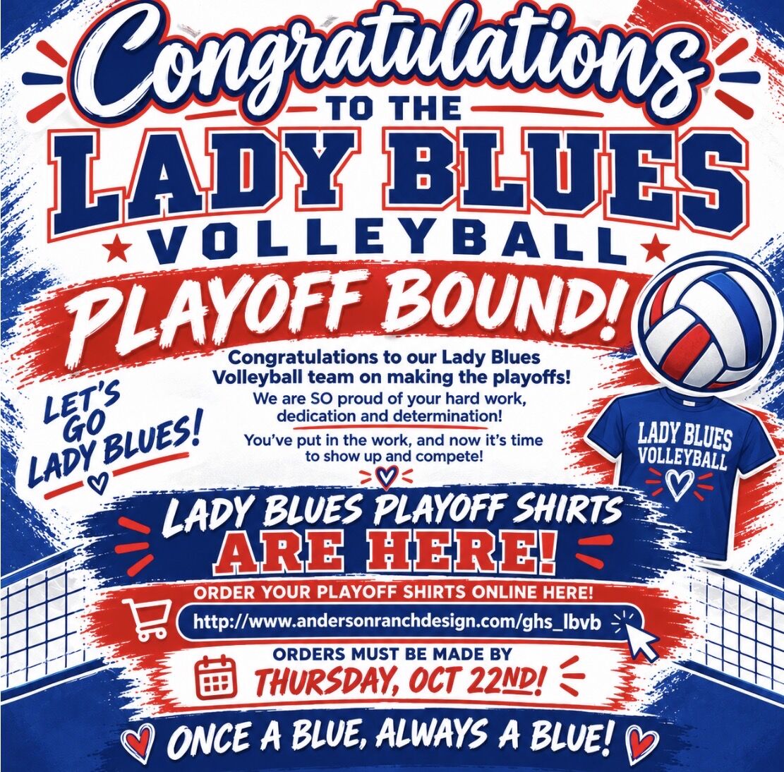LBVB Playoff Shirts 🏐