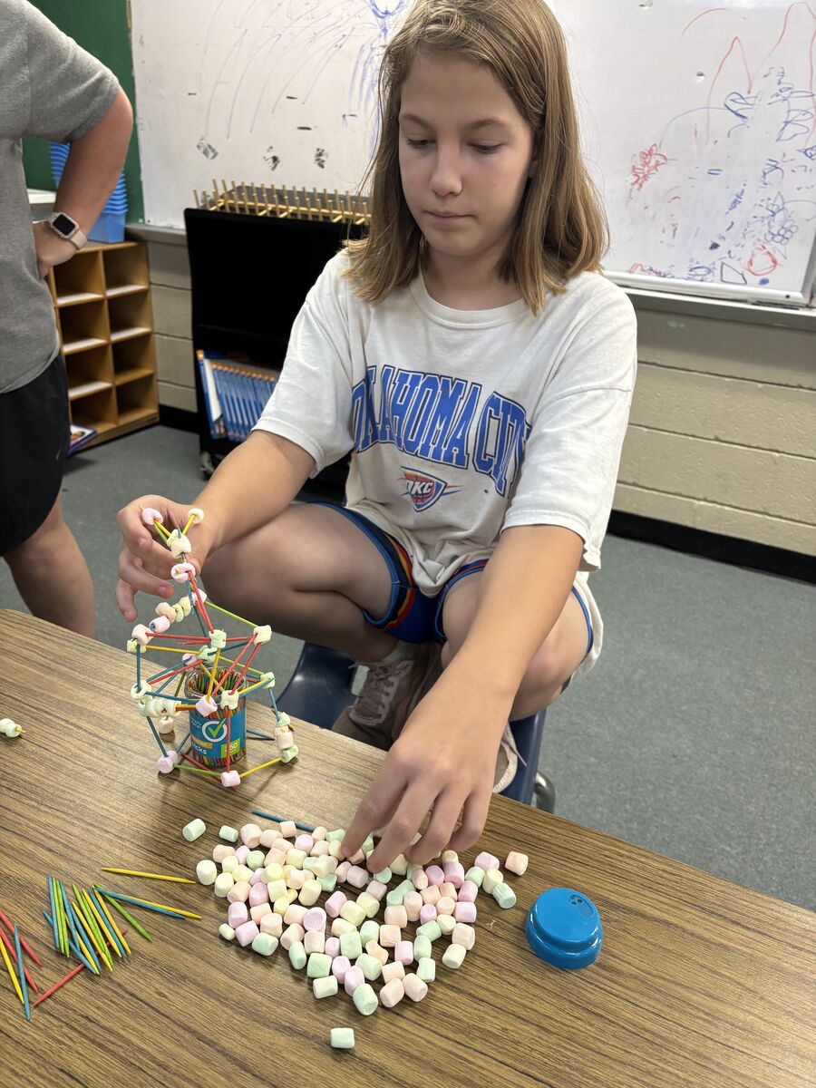 Summer school is in full swing!