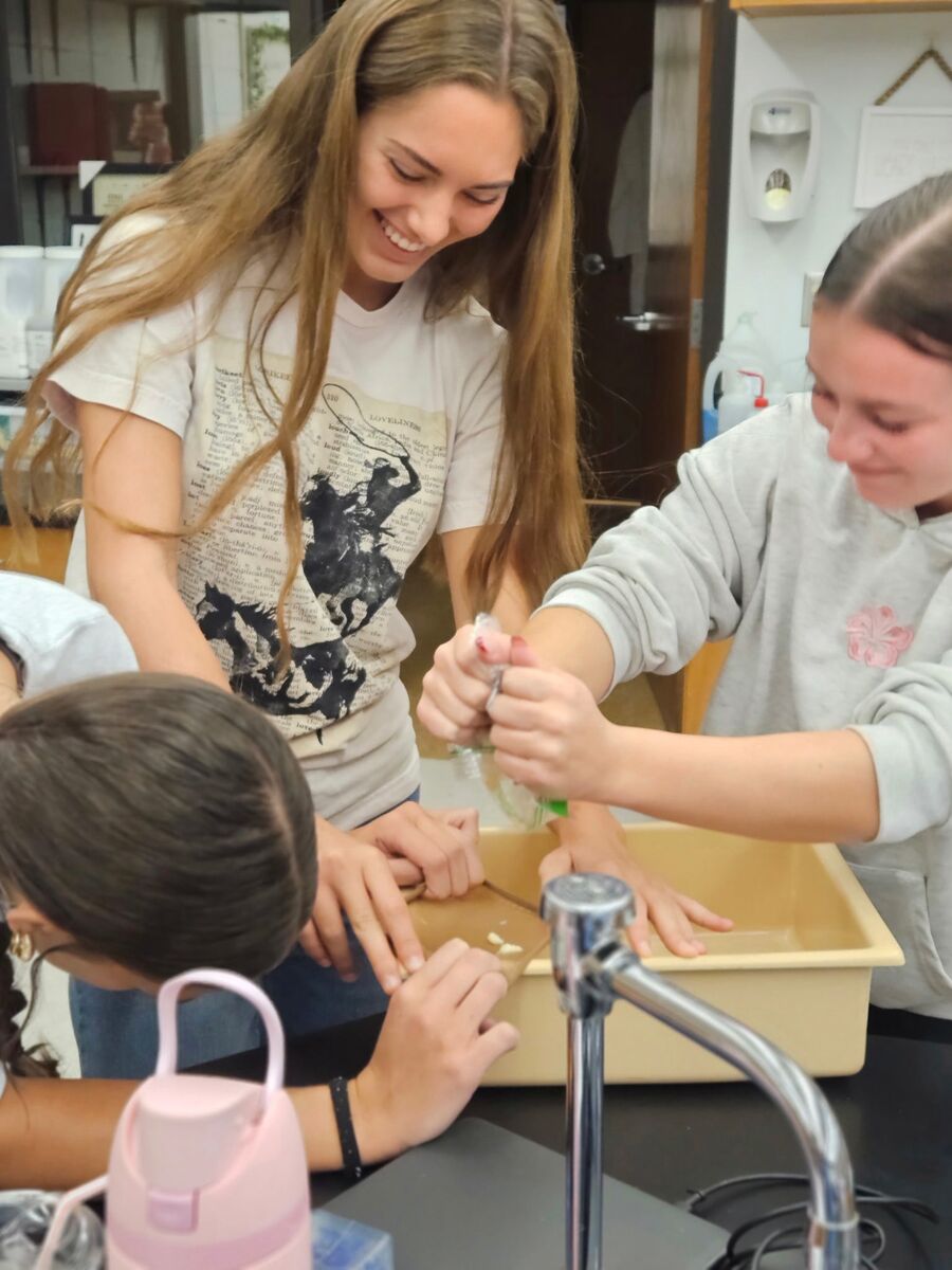Anatomy student lab