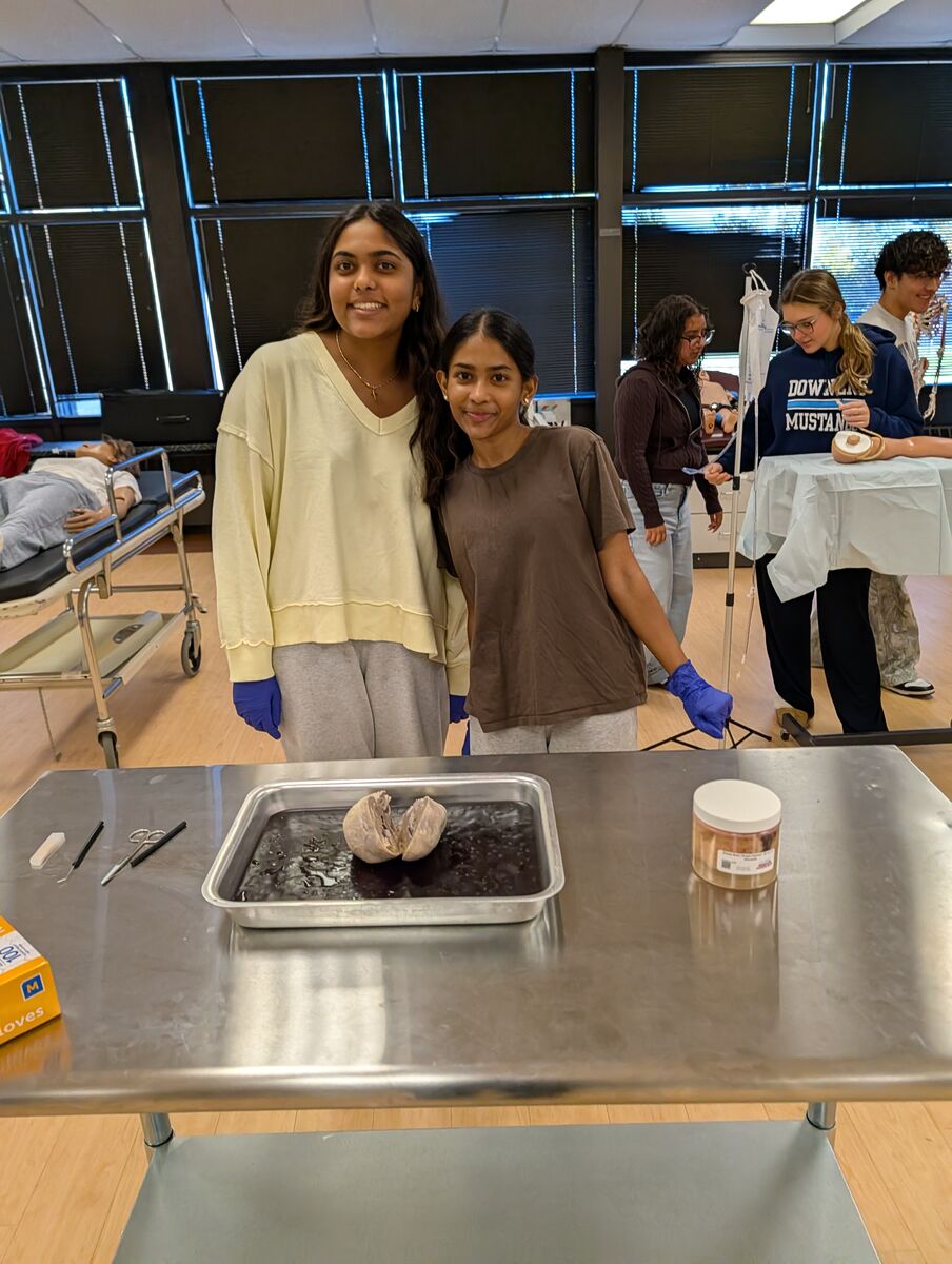 Hands-on learning brings healthcare to life at TCD!