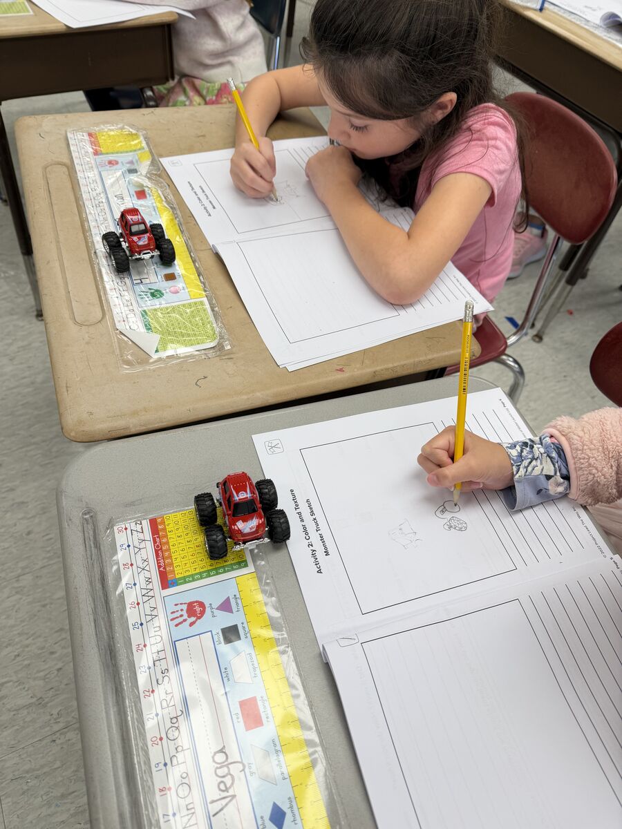 🔍 Studying Characteristics in Second Grade