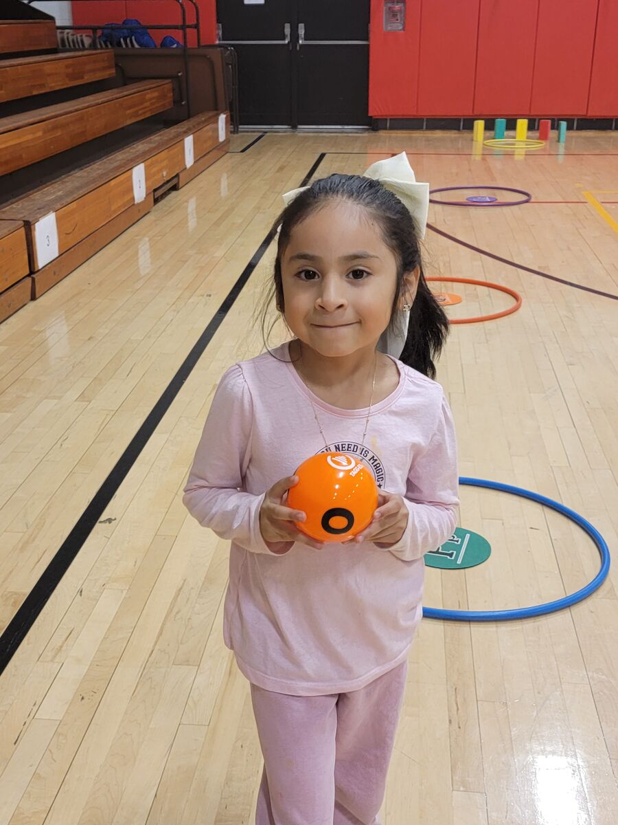 Bringing Literacy into the Gymnasium!