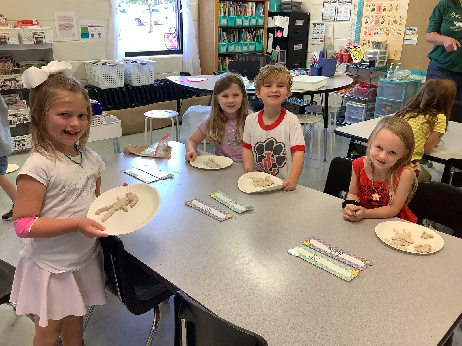 Sorting & Classifying