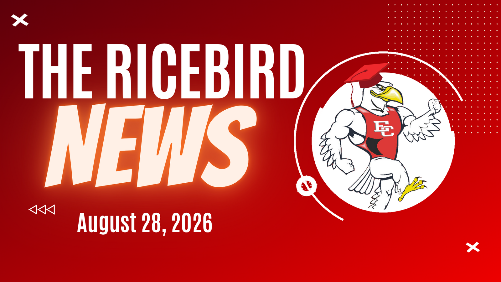 August 28, 2026 Ricebird News