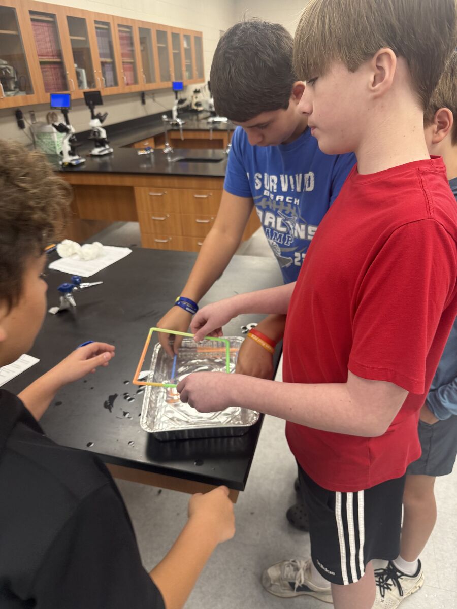 7th grade science 