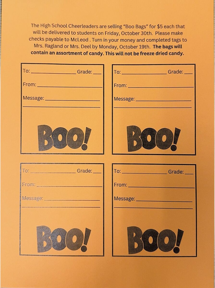 Boo Bags 