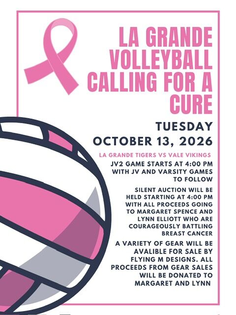 LHS Volleyball Calling for a Cure Game