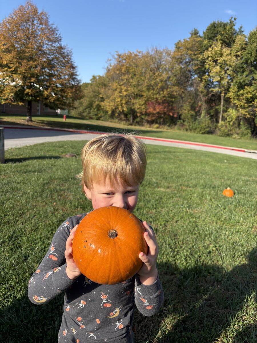 LTEC Pumpkin Patch