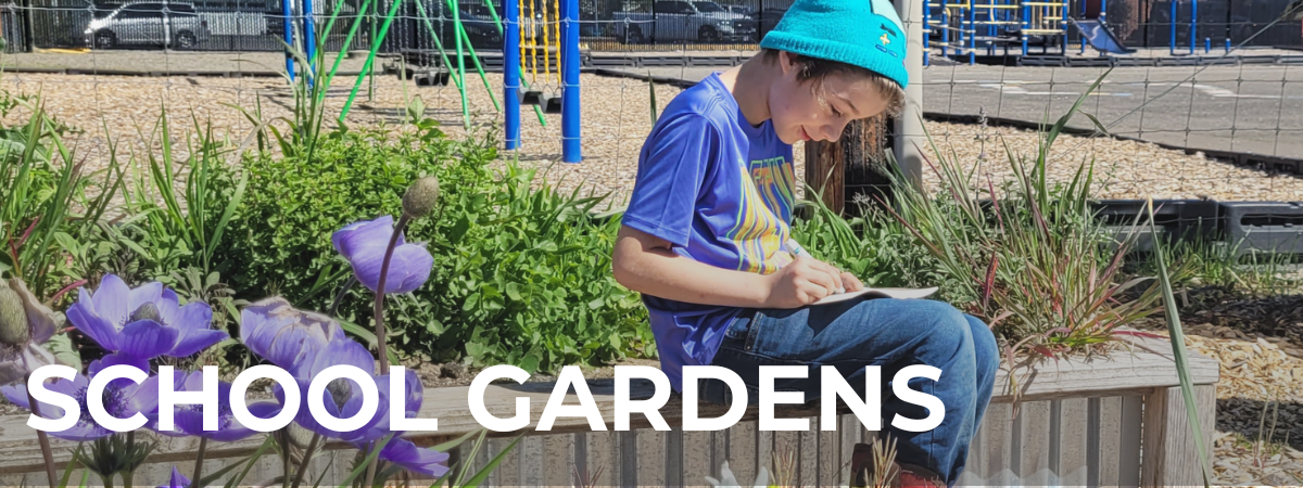 School Garden Community Group