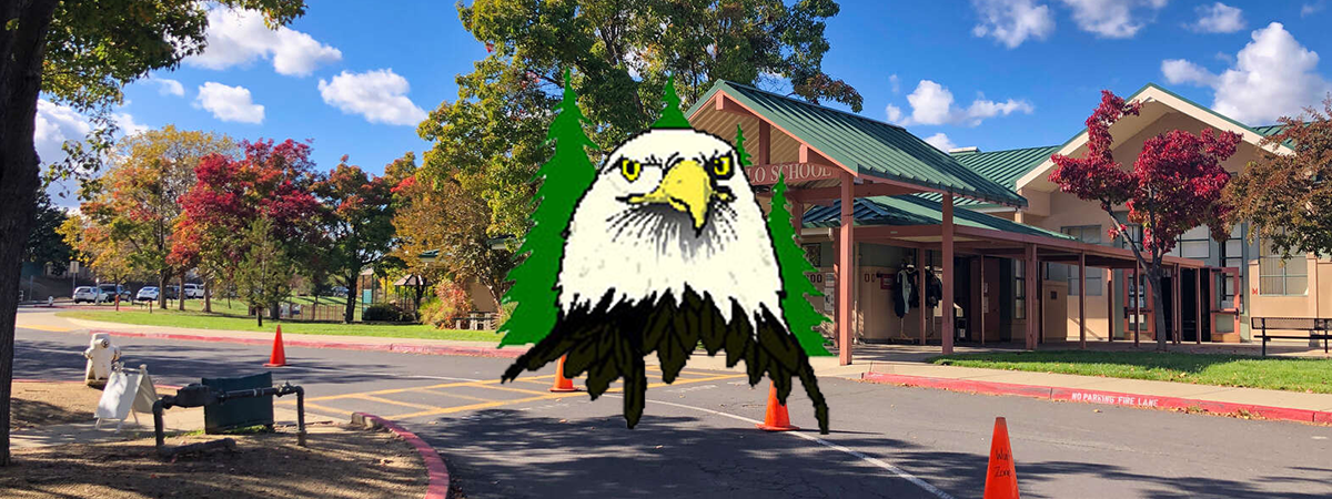 Morello Park Elementary School Neighborhood Community